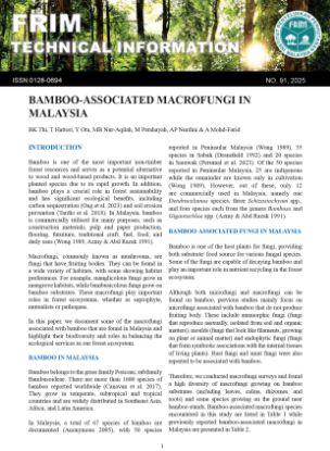 Picture of Bamboo-Associated Macrofungi in Malaysia