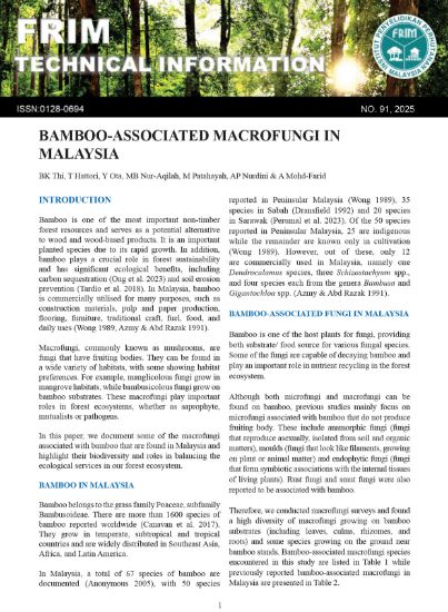 Picture of Bamboo-Associated Macrofungi in Malaysia