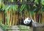 Picture of Buluh & Panda