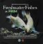 Picture of Freshwater Fishes in FRIM 