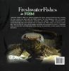 Picture of Freshwater Fishes in FRIM 