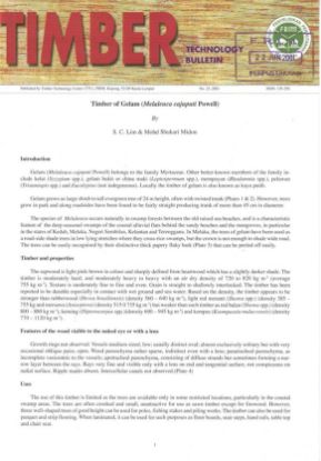 Picture of Timber of Gelam (Melaleuca cajuputi Powell)