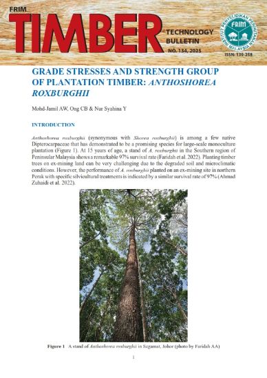 Picture of Grade Stresses and Strength Group of Plantation Timber: Anthoshorea roxburghii